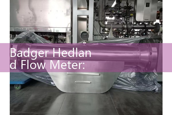 Badger Hedland Flow Meter: Sourcing High-Pressure Inline Hydraulic Oil Dials